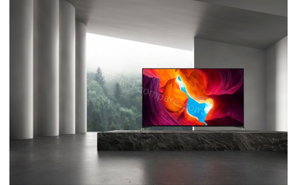 SONY KD-65XH9505 - Mise en situation