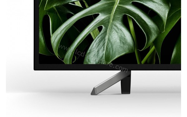 SONY KDL-50WG665 - Zoom sur la partie basse