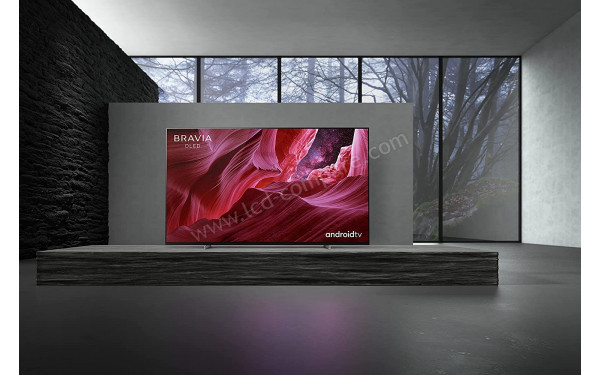 SONY KE-65A8/P - Mise en situation