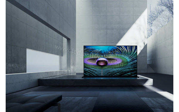 SONY XR-75Z9J - Mise en situation