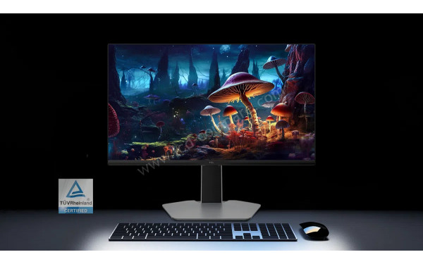 TCL 24G645 - Mise en situation