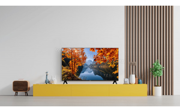 TCL 32S41K - Mise en situation