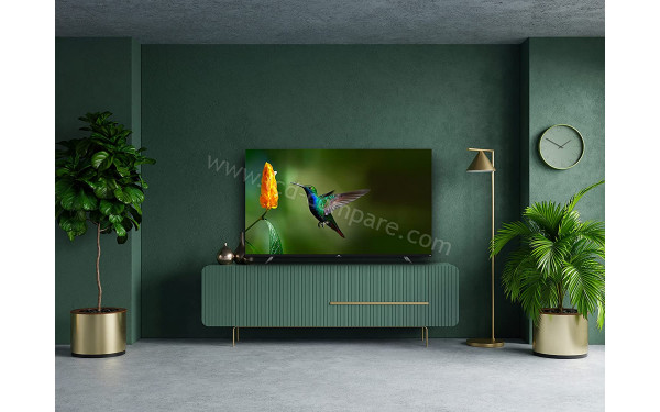 TCL 50CF630 - Mise en situation