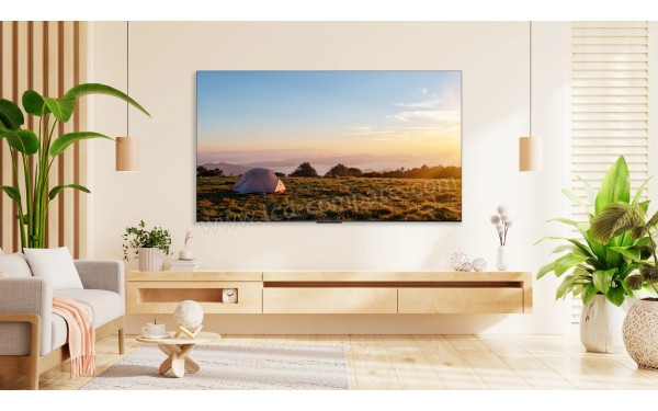 TCL 50P69B - Mise en situation