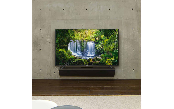 TCL 55AP610 - Mise en situation