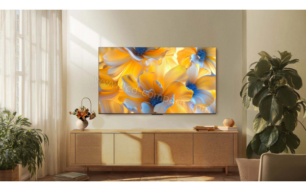 TCL 55C6K - Mise en situation