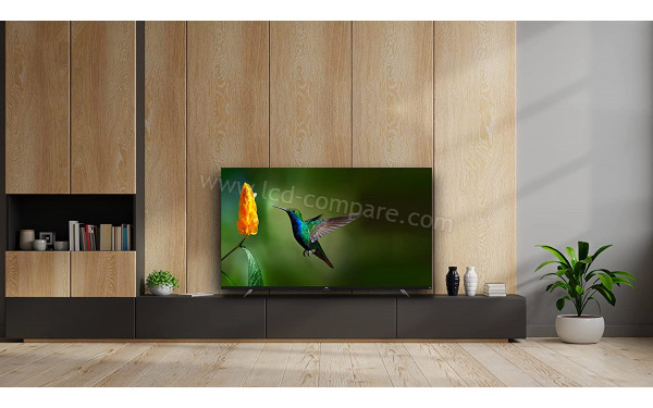 TCL 55CF630 - Mise en situation