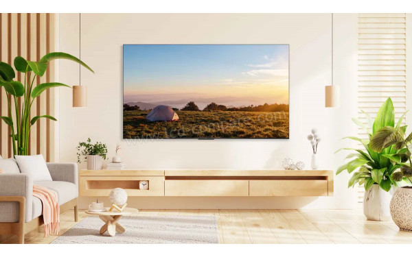 TCL 55P61B - Mise en situation