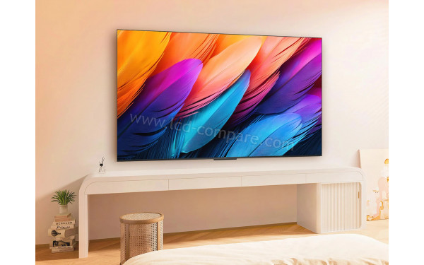 TCL 55PF650A - Mise en situation