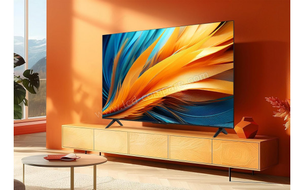 TCL 55PF650 - Mise en situation