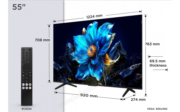 TCL 55T69C - T&eacute;l&eacute;commande