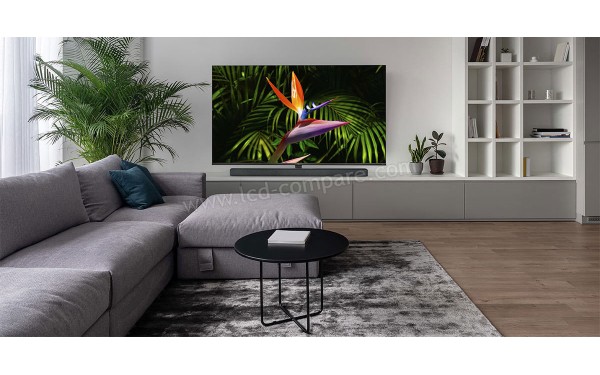 TCL 65X10 - Mise en situation