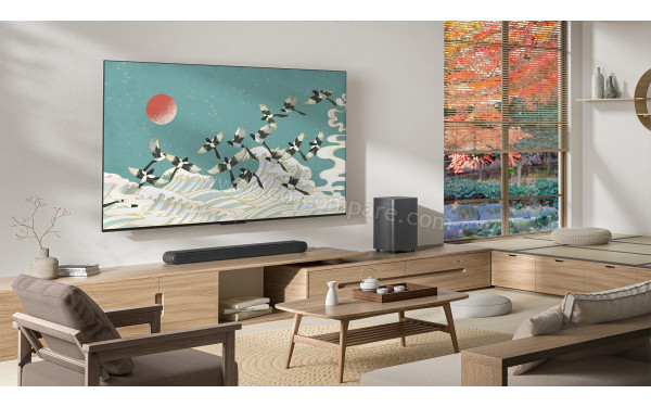 TCL 85P745 - Mise en situation