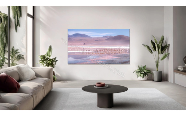 TCL 85P79K - Mise en situation