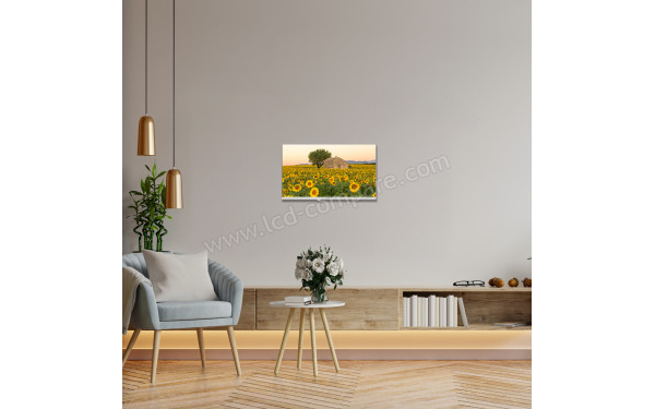 THOMSON 24HA2S13CW - Mise en situation