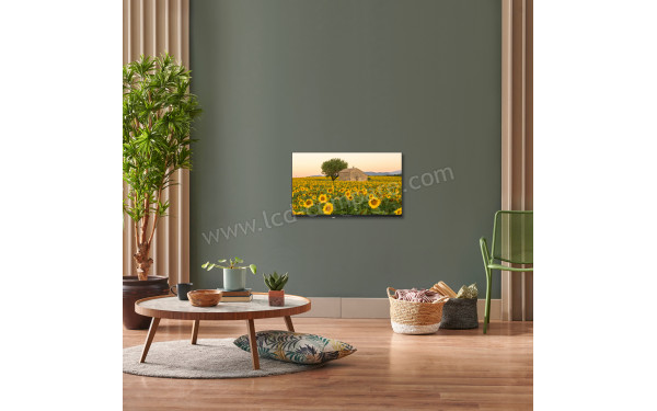 THOMSON 32HA2S13C - Mise en situation