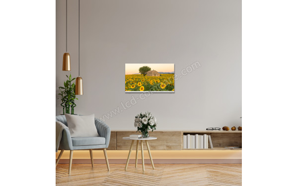 THOMSON 32HA2S13W - Mise en situation