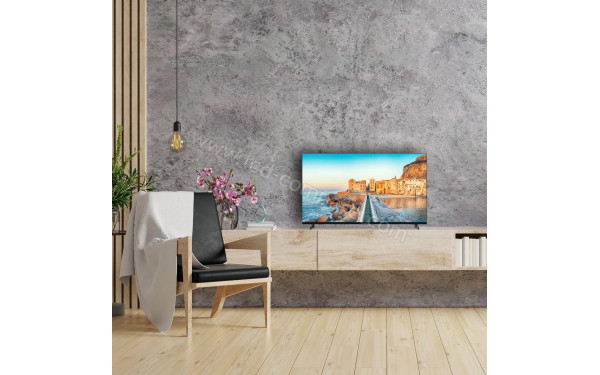 THOMSON 40FG2S15W - Mise en situation