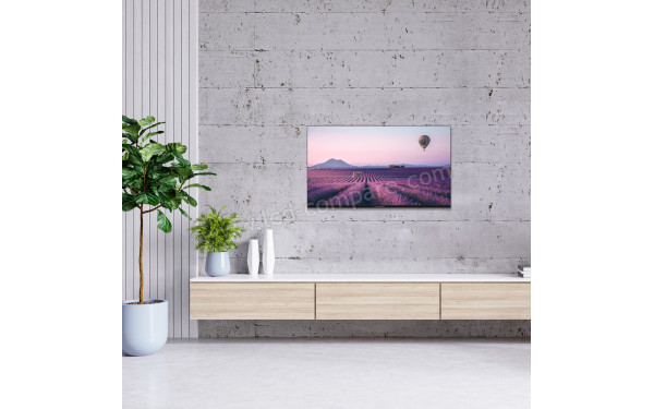 THOMSON 43FA2S13 - Mise en situation