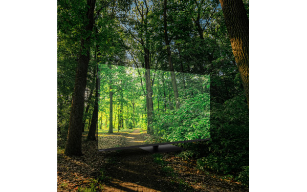 THOMSON 43MG7C15 - Mise en situation