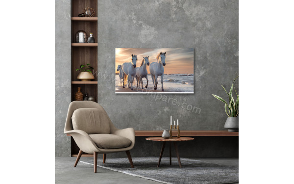 THOMSON 43UA5S13W - Mise en situation