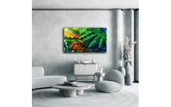 THOMSON 50MG7C15 - Mise en situation