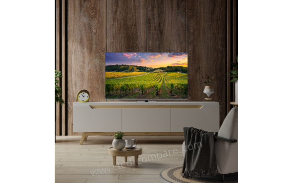 THOMSON 50QG5C14 - Mise en situation