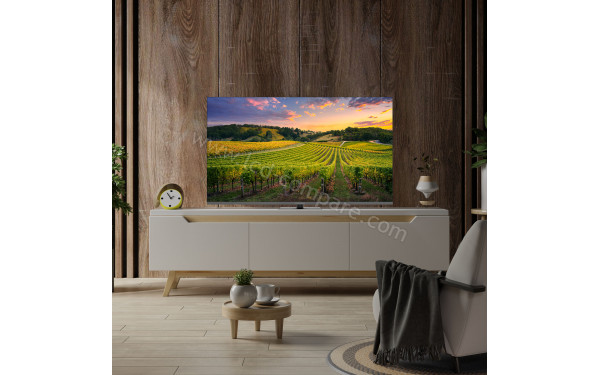 THOMSON 55QG5C14 - Mise en situation