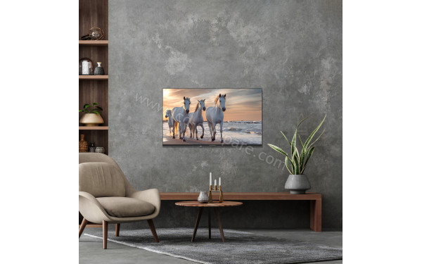 THOMSON 55UA5S13 - Mise en situation