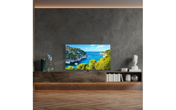 THOMSON 55UG5C14 - Mise en situation