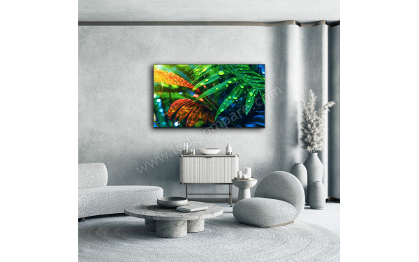 THOMSON 65MG7C15 - Mise en situation