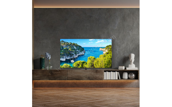 THOMSON 65UG5C14 - Mise en situation