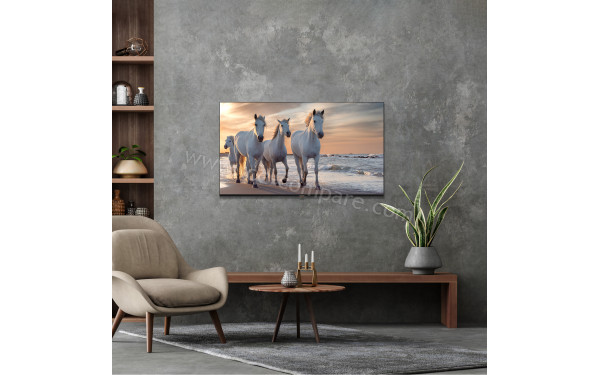 THOMSON 75UA5S13 - Mise en situation