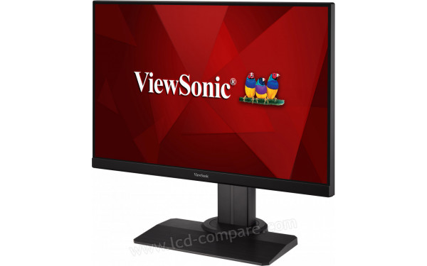 VIEWSONIC XG2405-2 - Vue 3/4 droite