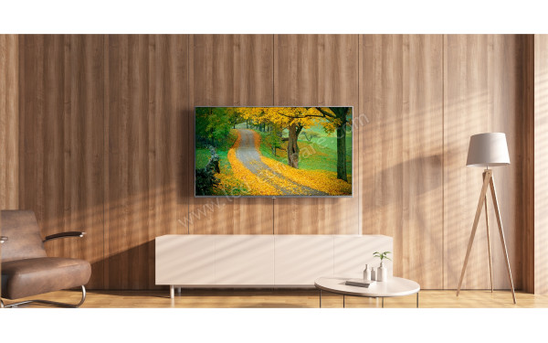 XIAOMI Mi TV 4S 65 - Mise en situation